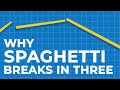 Spaghetti Physics Quiz