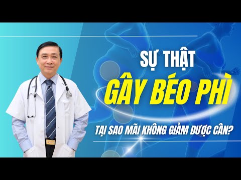 Béo Phì - Phần 2: Tại Sao Bạn Mãi Không Giảm Được Cân? Bác sĩ Lê Quang Hào Tiết Lộ Sự Thật!