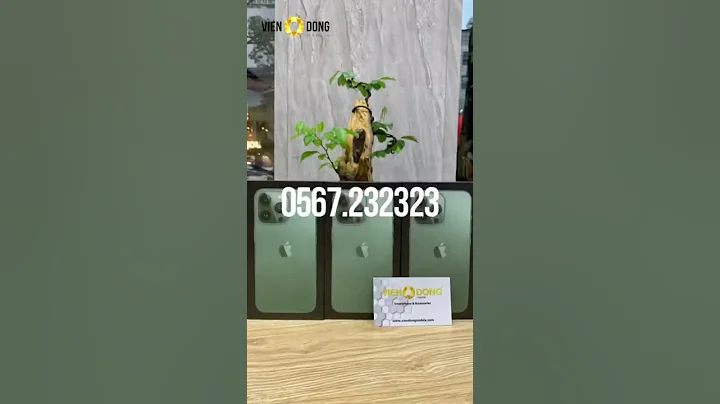 Mùa hè sôi động mua IPhone 13 Series và Smartphone tại Viễn Đông Mobile.