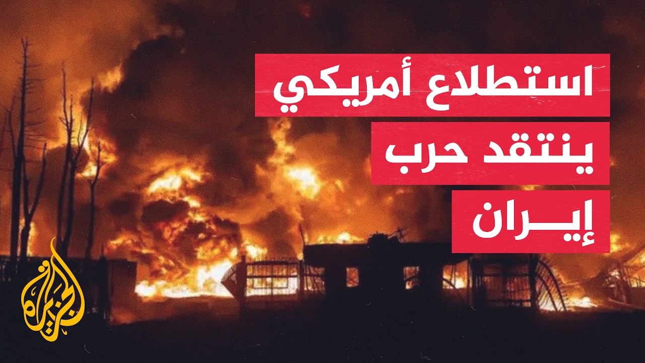 ������� ���� ����: 71% ���� ���� ���������� ����� ������ ��� �����
 - نشر قبل 27 دقيقة