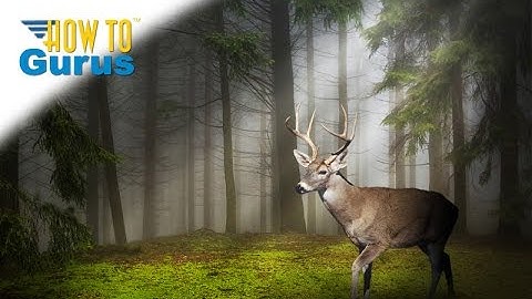 How You Can Make Light Rays in Photoshop Elements