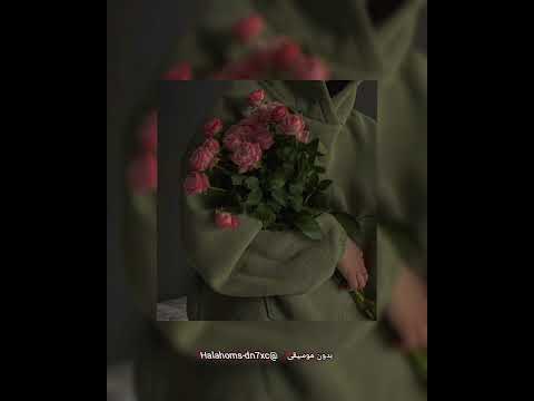 حلمنا كتير نكون مع بعض بدون موسيقى