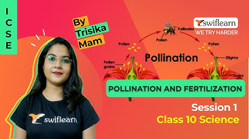 Pollination And Fertilization | ICSE Class 9 | Biology Online Classes | Session 2 - Swiflearn
