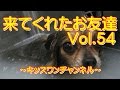 来てくれたお友達 Vol.54【ペットホテル Mix犬】0144
