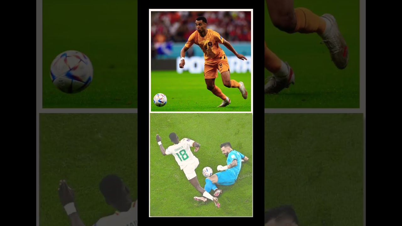 role played by card in slot 2 Group A: Senegal and Netherlands advance to knockout stages