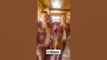 Thumbnail of 4 Milpas-Mariachi Nuevo Tamazula