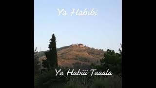 Ya Habibi Taala By Dj Dexter