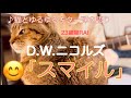 【スマイル】 D.W.ニコルズ ゆるゆる弾き語りカバー ねことともに