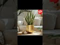 Metal Hammered Planter for Home Decor | Decorative for Indoor Outdoor Balcony Living Room |