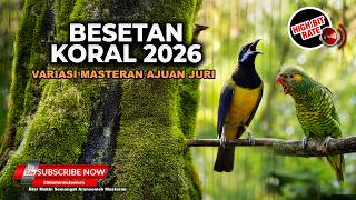 🔴 Live Cucak Cungkok Super Gacor Mewah Greja Tarung vs Perkici Nembak Rapet Jenggot Beset