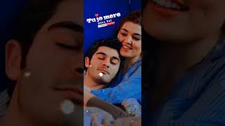Tu jo mere paas hai whatsapp status song ( Arijit Singh )_4K_Status