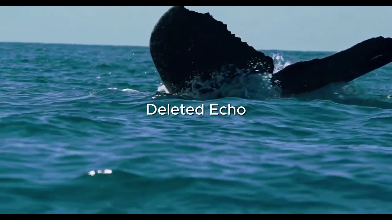 Deleted Echo – Deleted Echo // Full Album Journey (Melodic House / Melodic Techno) adlı videoyu YouTube'da izle Deleted Echo – Deleted Echo // Full Album Journey (Melodic House / Melodic Techno) adlı videoyu YouTube'da izle