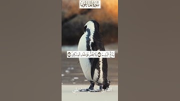 سورة الماعون بالصيغة المغربية الأصيلة القارئ الحسن الفاضلي