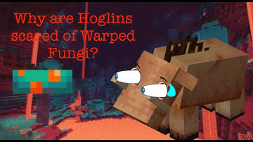 Minecraft Short Theory | Why are Hoglins scared of Warped Fungi?