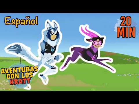 La gran carrera | Temporada 3 [episodio completo] Aventuras con los Kratt