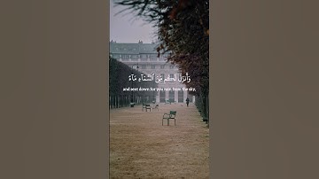 ‏ياسر الدوسري | سورة النمل | الآية 59-60