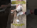 NBS Silicone Coating for Roof/Wall#waterproof #coating #bulidingmaterial