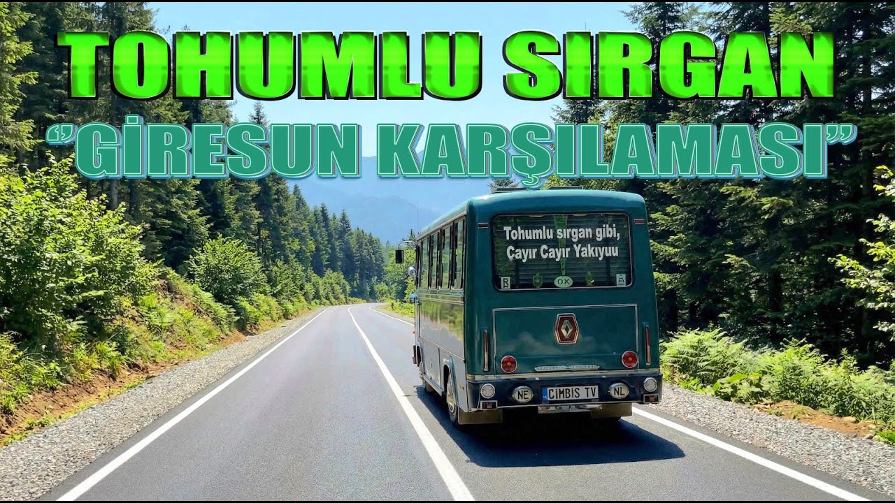 TOHUMLU SIRGAN | 2026 | GİRESUN KARŞILAMASI | COVER