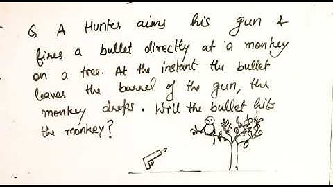 Monkey hunter question