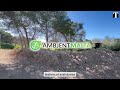 Why have piles of rubble been dumped in the Miżieb woodland?