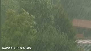 Rainforest Rain Sounds for Sleeping | rainfall rhythms 