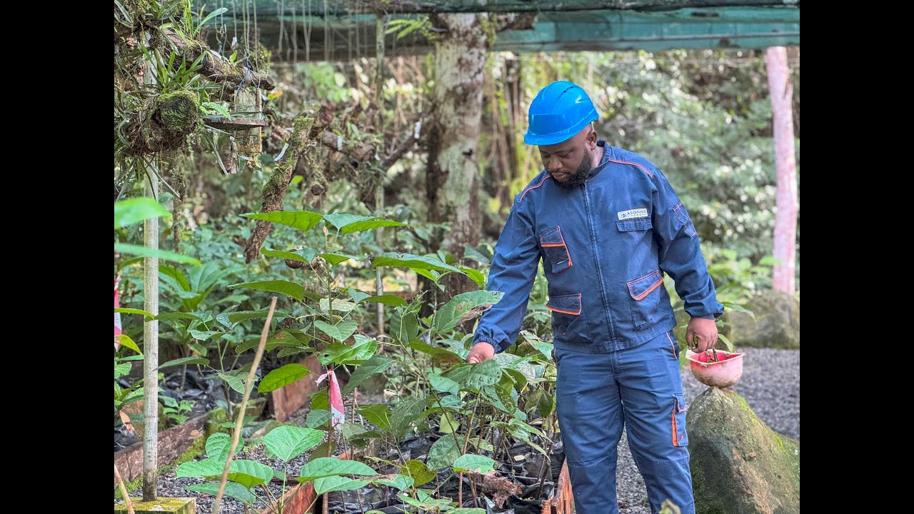 KINGUELE AVAL - Les mesures de compensation déployées par les parties prenantes du projet