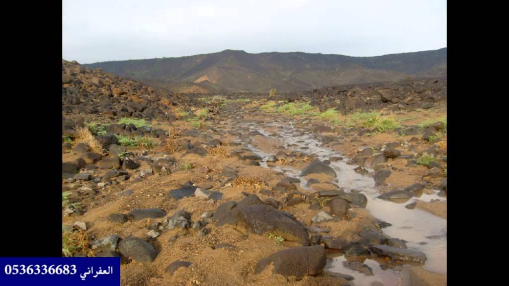 شيلة حدتني الدنيا على بيعة الجيب وفري جيبي عقب فرقاه فرياه