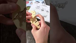 Продолжаем рубрику "Чем заняться с ребенком на каникулах". На видео пазл 3-D ТМ "Rezark" Собака.