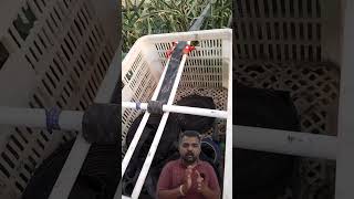 Drip irrigation pipe desi jugaad ड्रिप इरिगेशन पाइप  देसी जुगाड़। shortvideo