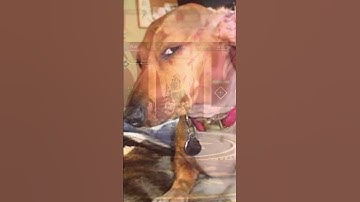 Why is it always like this in Apex! 🤨🤣  #apexlegends #funnymoments #shorts #youtube