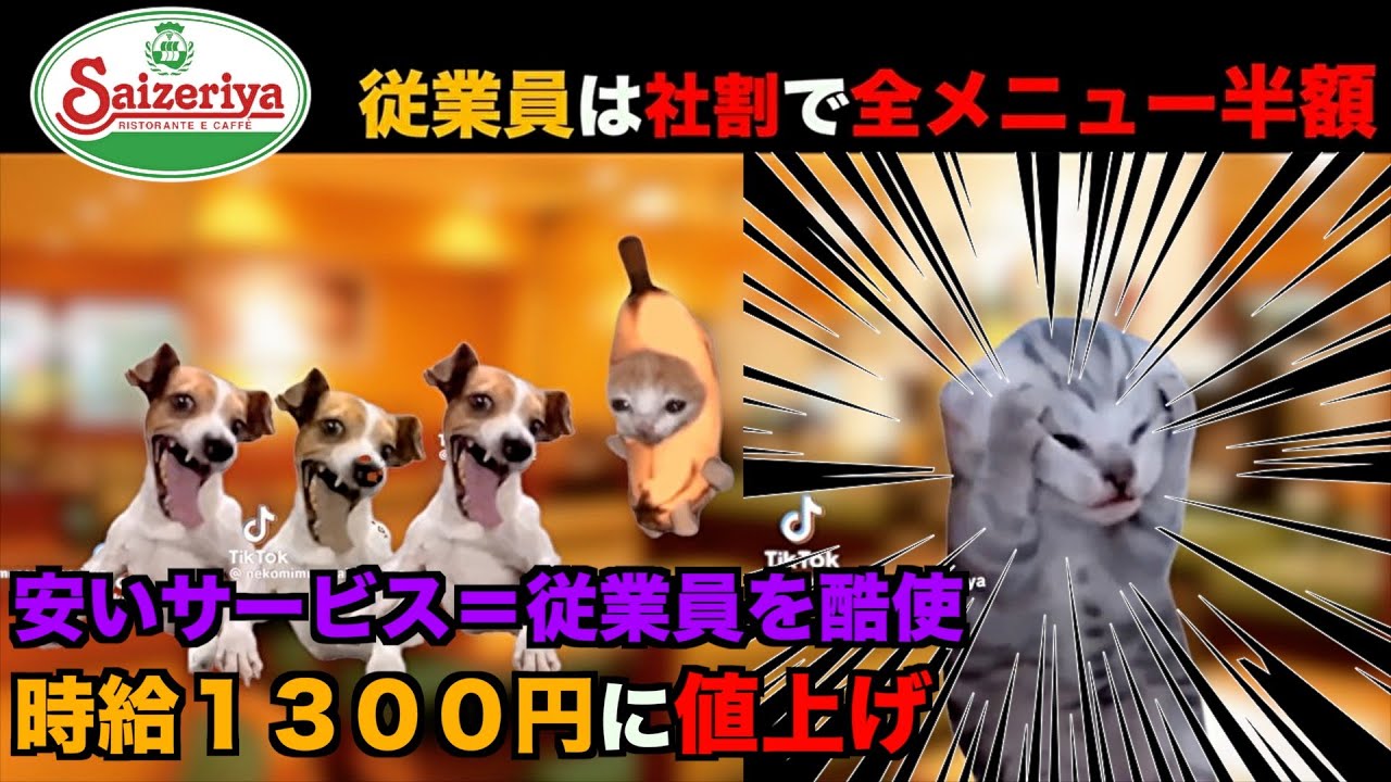 サイゼリヤで働いたリアルな実態は想像以上に過酷だった...サイゼが安い本当の理由【猫ミーム】