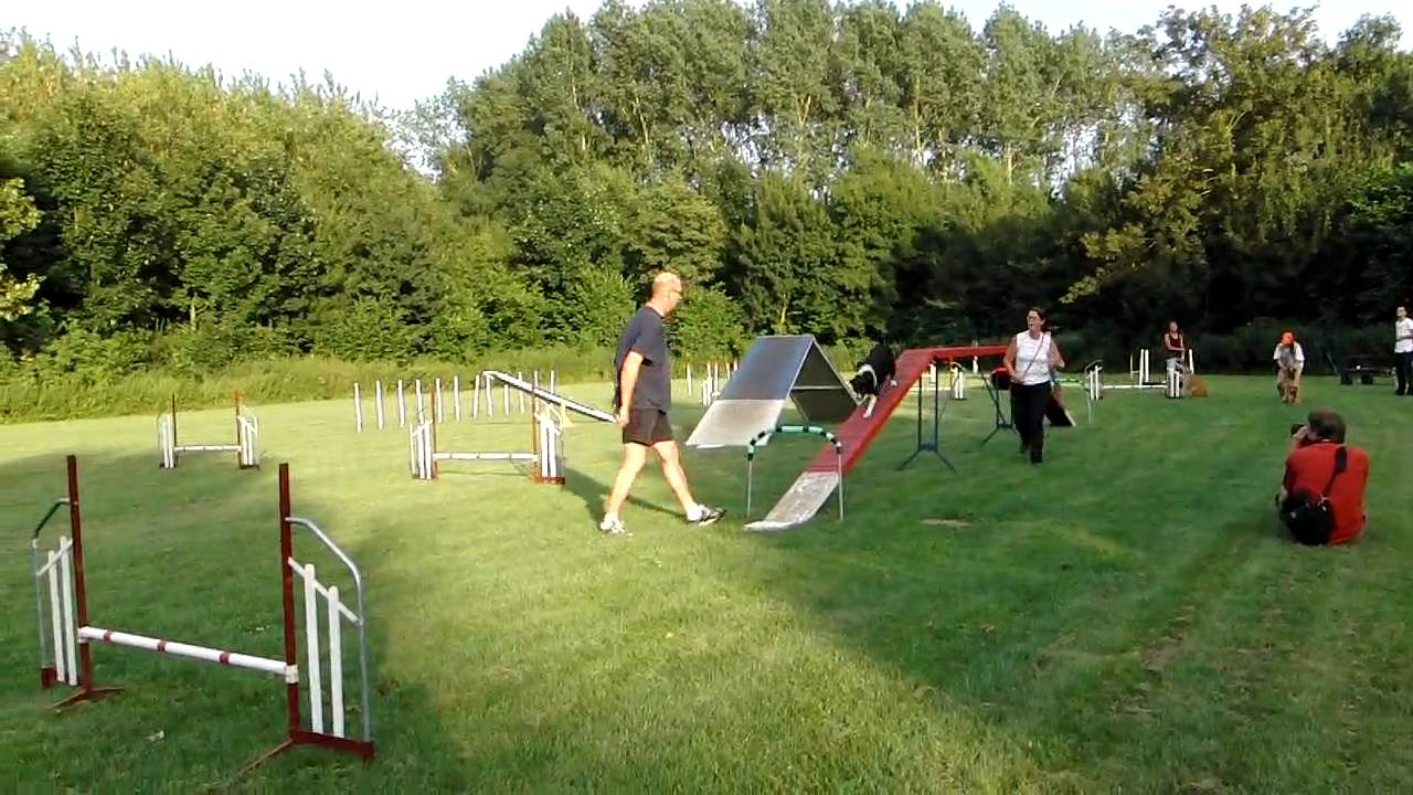 Dalwini Agility(kattenloop) Hondenschool Speed Almere d.d. 19-07-2010