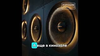 В Москве открылся первый дог-френдли кинозал