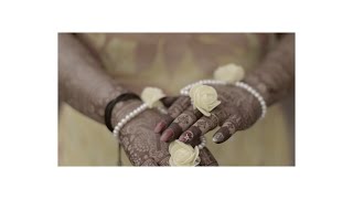 Cinematic Wedding Highlight Project For Edius | Edius NewWedding highlight 2024 | All User highlight