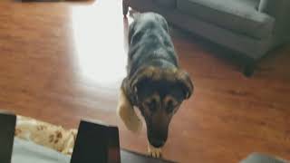 20180222 091444