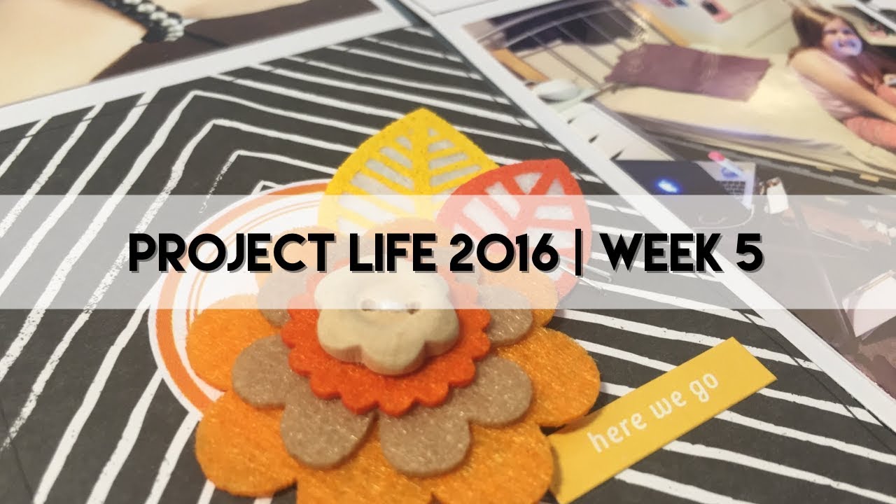 Project Life Process 2016 - Week 5 - YouTube