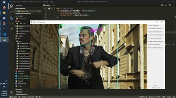 Распознавание людей, лиц, эмоций, возраста, направление взгляда на основе OpenVINO, Model Zoo