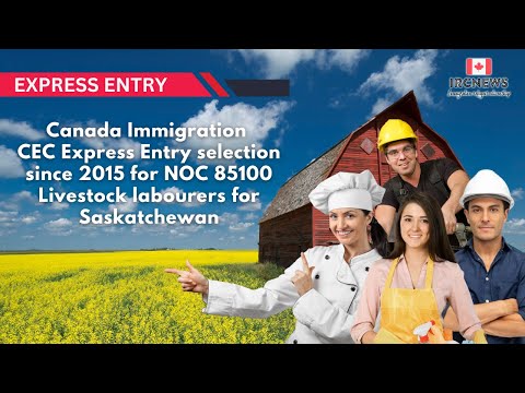 CEC Express Entry selection since 2015 for NOC 85100 Livestock labourers for Saskatchewan