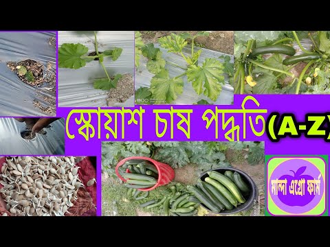 ভিডিও: নেটলেট - সংগ্রহ এবং ফসল সংগ্রহ