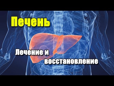 ГЕПТРАЛ И ЭССЕНЦИАЛЕ | ПЕЧЕНЬ. Лечение и восстановление печени.