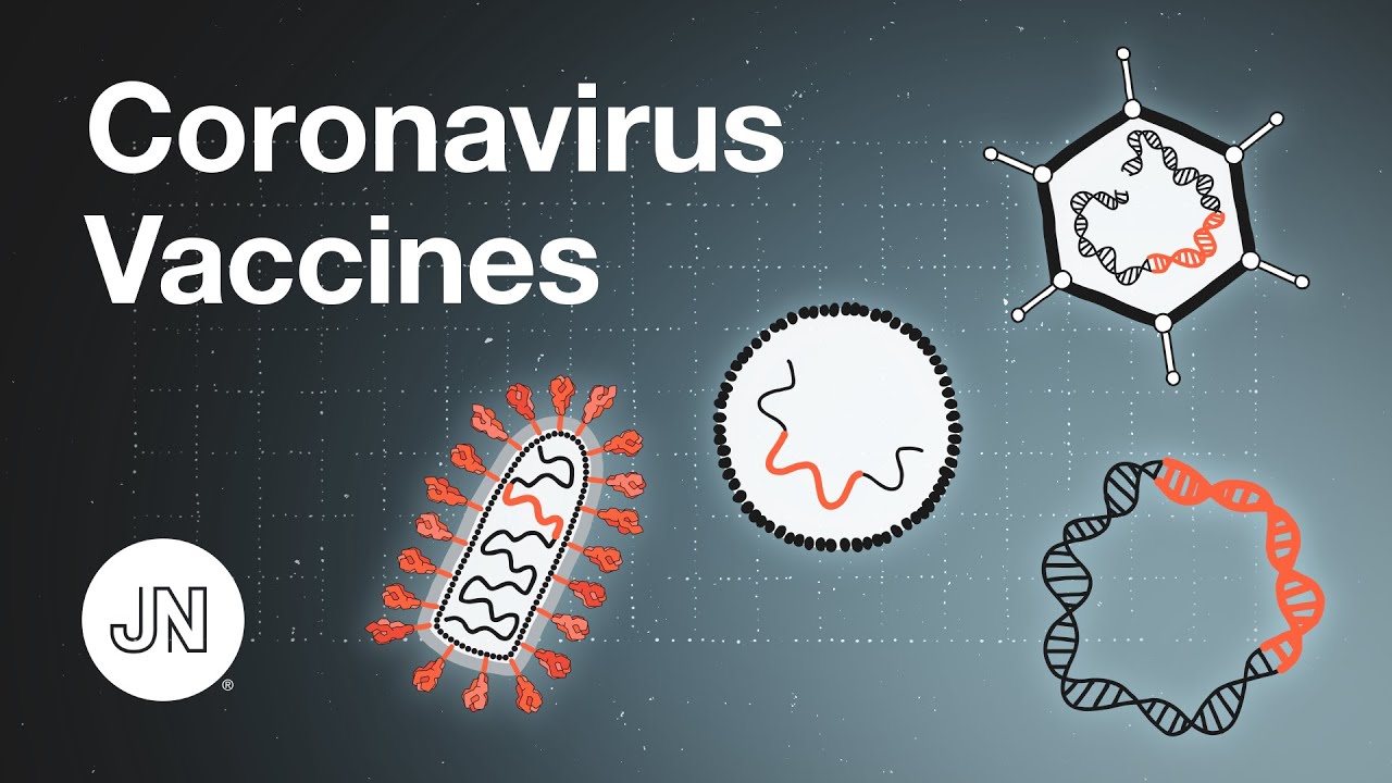 Coronavirus Vaccines - An Introduction