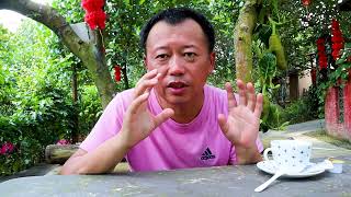 自驾在路上,海南知名咖啡生产地,华侨农场咖啡园.品尝上等咖啡