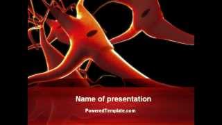 Nervous System PowerPoint Template by PoweredTemplate.com