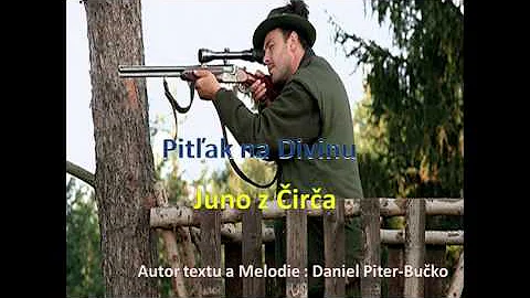 Pitak na divinu