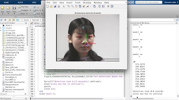 Facial Feature Detection and Head Pose Estimation Using a Generalized 3D Face Model