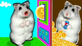 Hamster Pretend play Colorful Vending Machine Maze Traps In Great Hamster