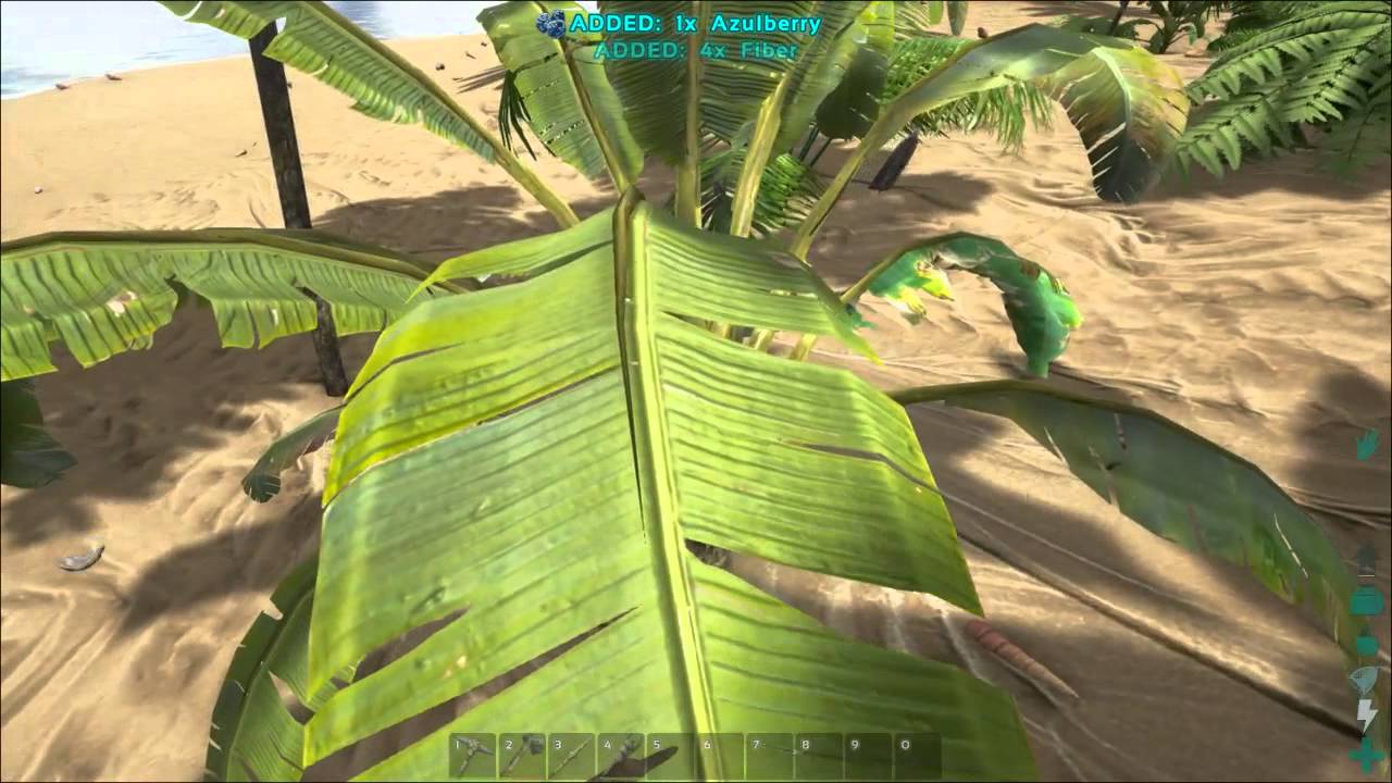 Science Based Dinosaur MMO