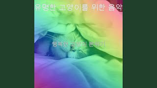 흠없는 고양이의 노출