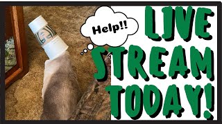 Lets Get Creative Today - Monday - 09-23-2024 - HowToGetCreative.com