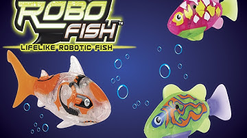 Tropical Robo Fish from Hawkins Bazaar